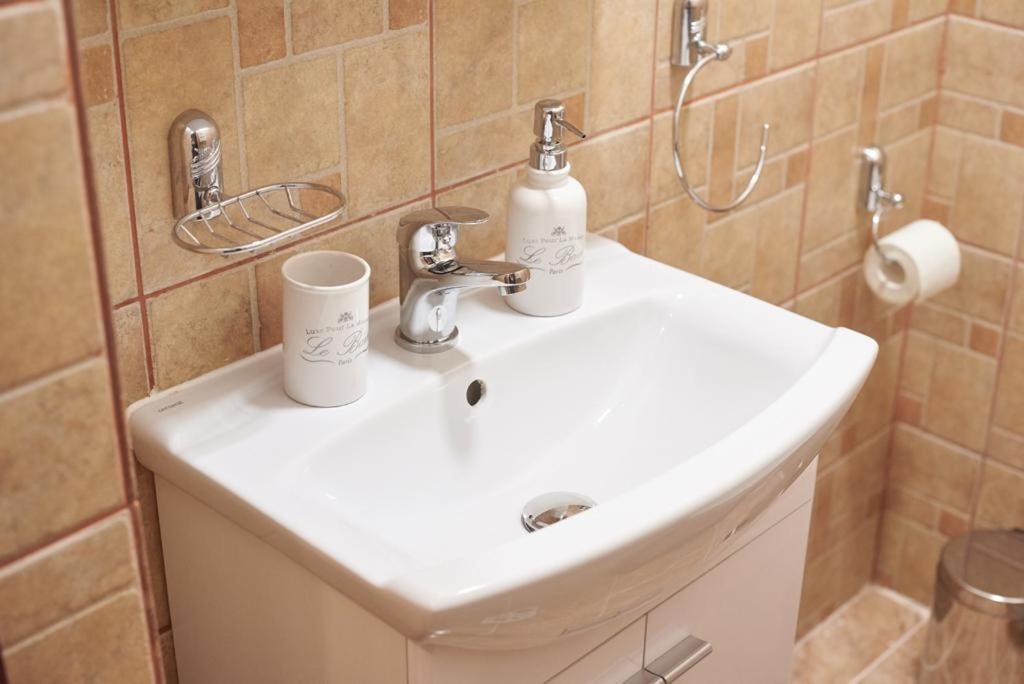 טימישוארה Dom Unirii Apartment מראה חיצוני תמונה