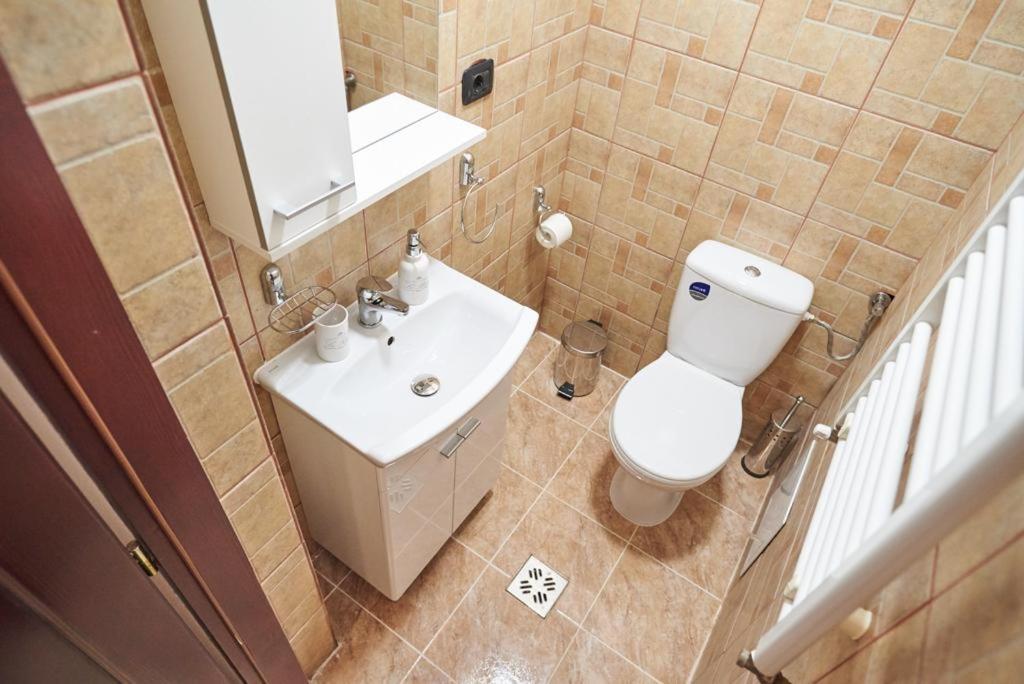 טימישוארה Dom Unirii Apartment מראה חיצוני תמונה